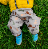 Rainys pants, vzorci, dinozavri