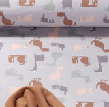 Rainys pants, vzorci, dinozavri