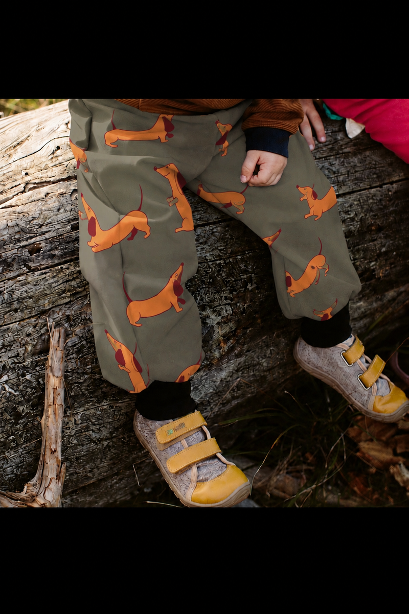 Rainys pants, vzorec, jazbečarji