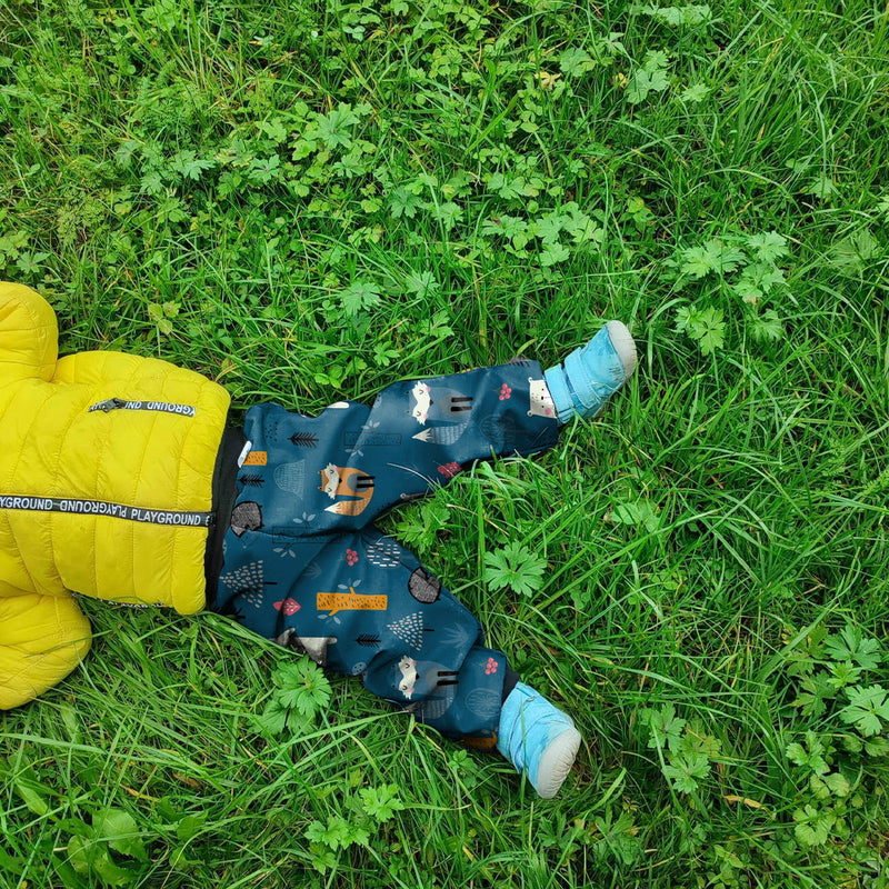 Tanek softshel, medvedki